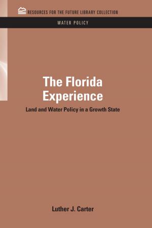 Cover of the book The Florida Experience by Jean-Michel Quinodoz