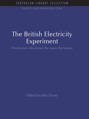 Cover of the book The British Electricity Experiment by Emanuel Marx