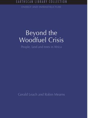 Cover of the book Beyond the Woodfuel Crisis by Janine Certo
