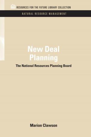 Cover of the book New Deal Planning by Anna-Sophie Maass