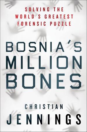 Cover of the book Bosnia's Million Bones by Dwayne Haskell