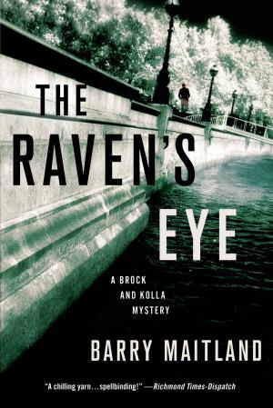 Cover of the book The Raven's Eye by Olivia Drake