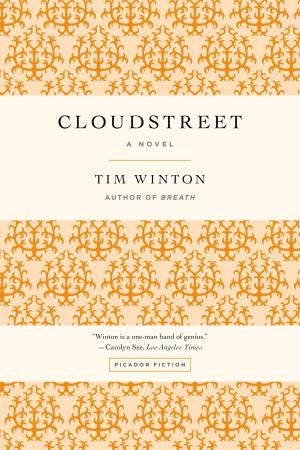 Cover of the book Cloudstreet by Zakes Mda