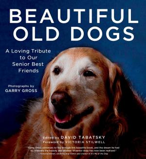 Cover of the book Beautiful Old Dogs by Matthew Gilbert