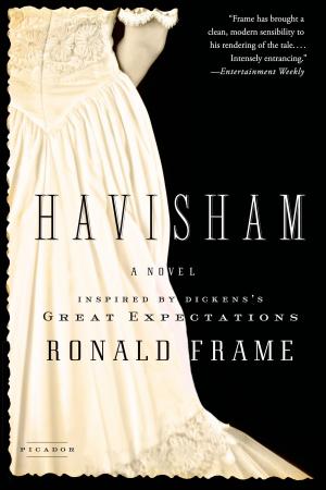 Cover of the book Havisham by Virginia Henley