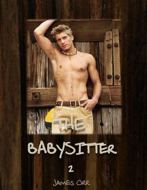 Cover of the book The Babysitter 2 by Lisa Martin