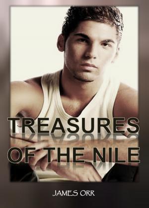Cover of the book Treasures of the Nile by Jane Morgan