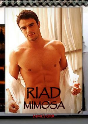 Cover of the book Riad Mimosa by Seth Giolle