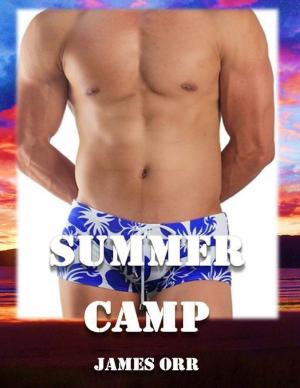 Cover of the book Summer Camp by Goldmine Reads