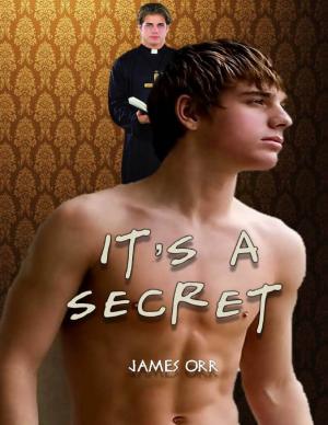 Cover of the book It's a Secret by Reginald Grant