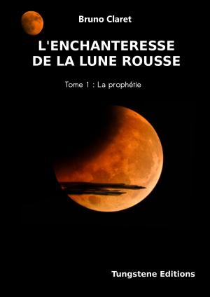 Cover of the book L'enchanteresse de la lune rousse by Christine Fonseca