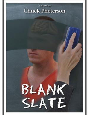 Cover of the book Blank Slate by Bernadette Watkins
