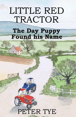 Cover of Little Red Tractor: The Day Puppy Found his Name