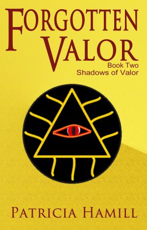 Book cover of Forgotten Valor