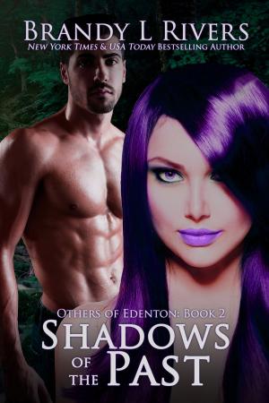 Cover of the book Shadows of the Past by Brandy L Rivers