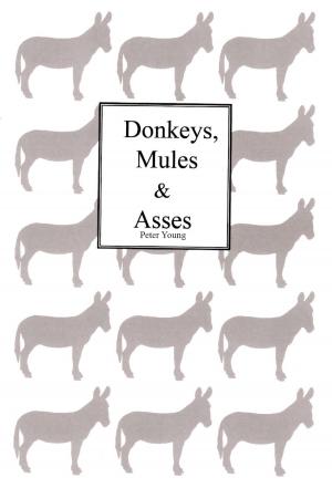 Cover of Donkeys Mules & Asses