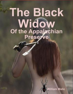 Cover of the book The Black Widow: Of the Appalachian Preserve by H Edward Newton