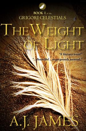 Book cover of THE WEIGHT OF LIGHT