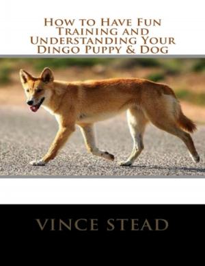 Book cover of How to Have Fun Training and Understanding Your Dingo Puppy & Dog