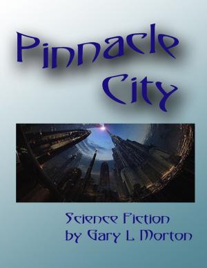 Cover of the book Pinnacle City by Juliet Ann Romeo