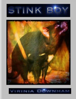Cover of the book Stink Boy by Ryosuke Akizuki