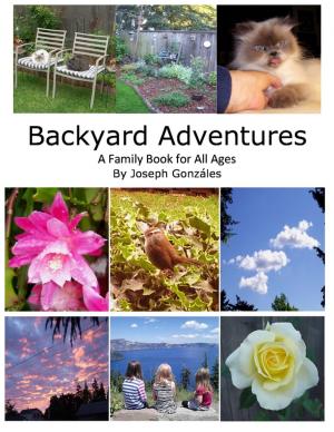 Cover of the book Backyard Adventures - A Family Book for All Ages by Silver Tonalities