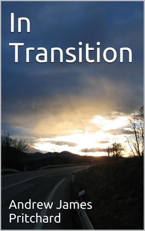 Book cover of In Transition