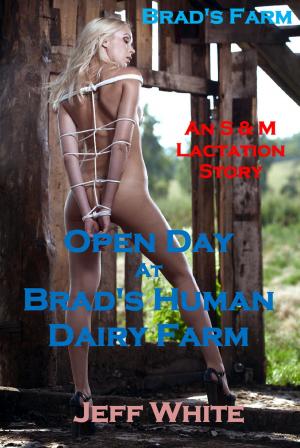 Cover of the book Open Day at Brad's Human Dairy Farm by Britt DeLaney