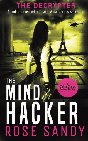 Cover of the book The Decrypter and the Mind Hacker by Charles Brownson