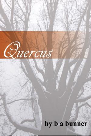 Book cover of Quercus