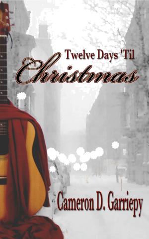 Cover of the book Twelve Days 'Til Christmas by Jessica Burke