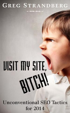 Cover of Visit My Site, Bitch! Unconventional SEO Tactics for 2014