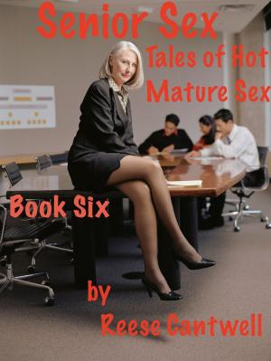Cover of the book Senior Sex: Book Six by Vicki Hinze