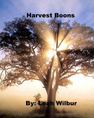 Cover of the book Harvest Boons by Lux Zakari