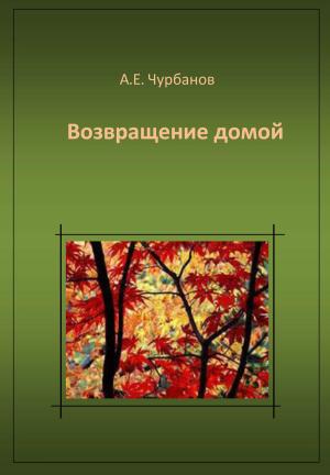 Cover of the book Возвращение домой by Tristan Bernard