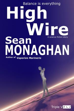 Cover of the book High Wire by Len Stone