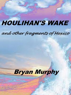 Book cover of Houlihan's Wake