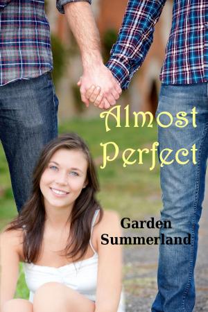Cover of Almost Perfect