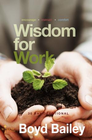 Book cover of Wisdom for Work