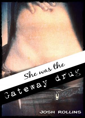 Cover of the book She Was The Gateway Drug by PT Winters