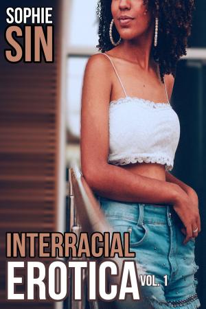 Book cover of Interracial Erotica Vol. 1
