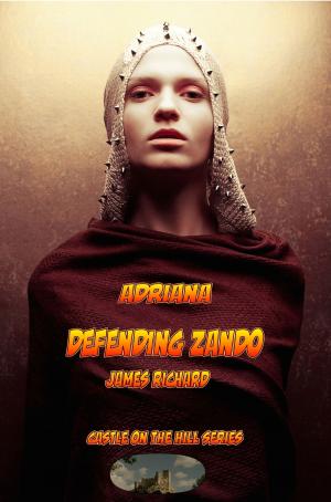 Cover of the book Defending Zando by Colleen Connally