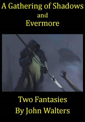 bigCover of the book A Gathering of Shadows and Evermore: Two Fantasies by 