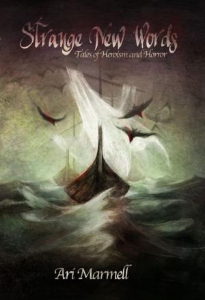 Cover of the book Strange New Words: Tales of Heroism, Hi-jinks, and Horror by Jeffrey Bennett