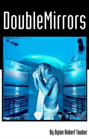 Cover of the book Double Mirrors by Roberto Grilli