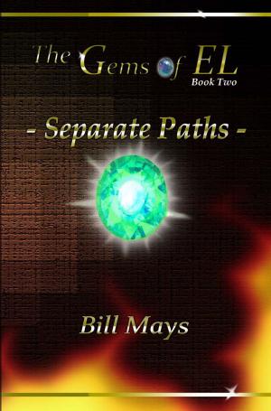 Book cover of The Gems of EL: Separate Paths