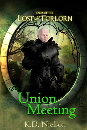 Cover of the book The Union Meeting by KD Nielson