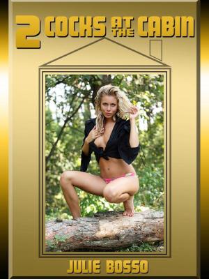 Cover of the book Two Cocks at the Cabin: A Double Team Outdoor Sex Short by Debbie Brownstone