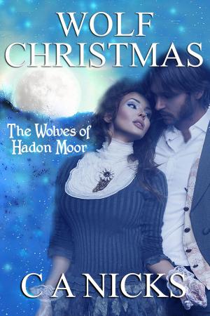 Cover of the book Wolf Christmas by D. Allen Henry