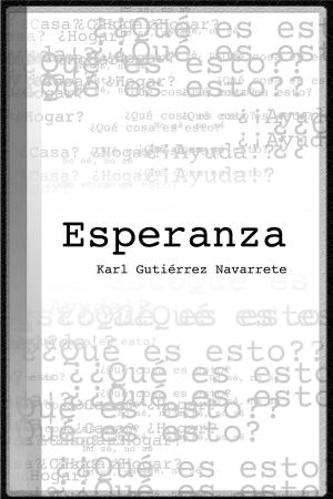 Cover of the book Esperanza by Connie Boje